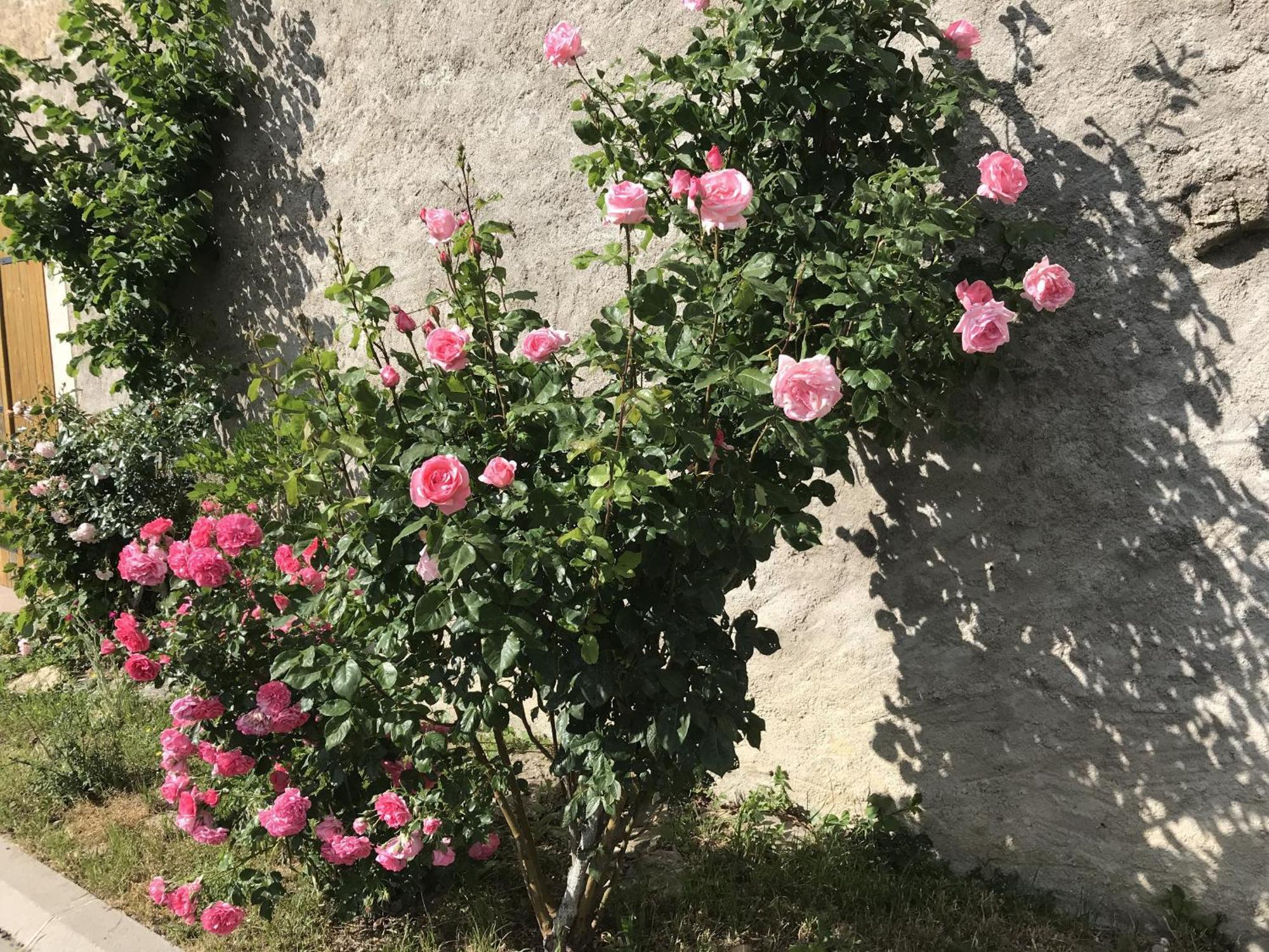 Gite Renove Avec Jardin, Proche Loisirs Et Commerces, A Une Heure De Nancy Et Metz - Fr-1-584-168 Autrepierre Εξωτερικό φωτογραφία